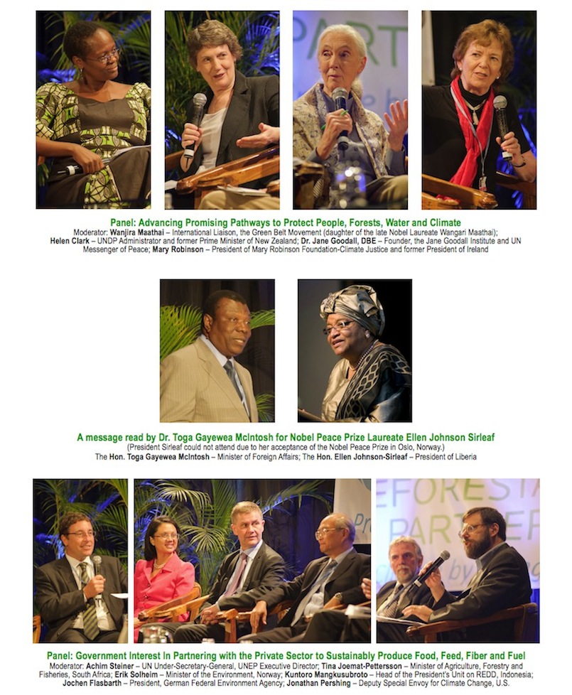 Photo Montage Page 2