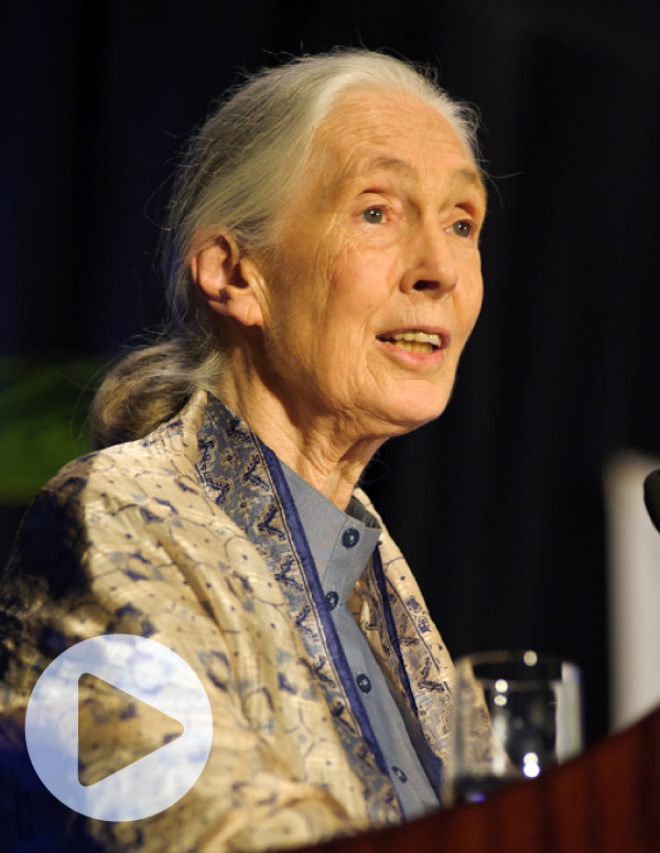Jane Goodall