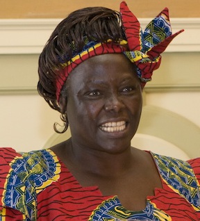 picture of Wangari Maathai